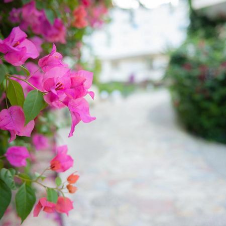 Bougainville Bay Apartments Sarande Luaran gambar