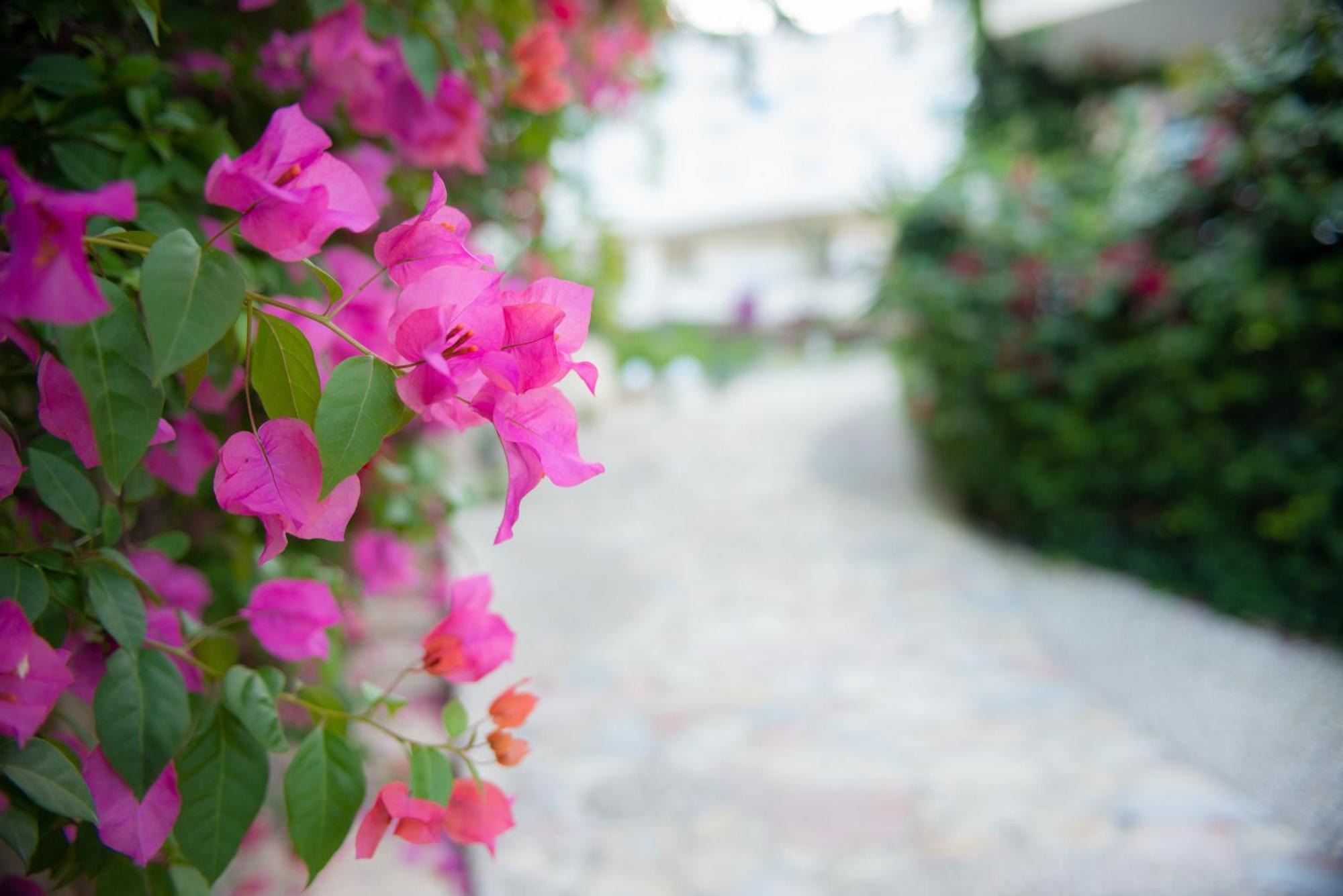 Bougainville Bay Apartments Sarande Luaran gambar